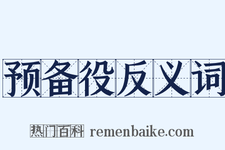 预备役反义词是什么意思的图片